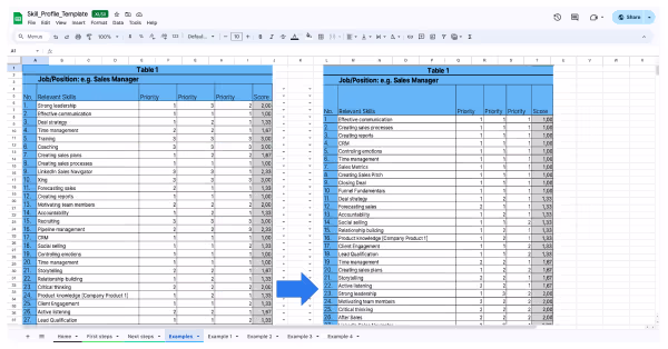 66e2c1954ca339b88d449a78_66150d6cfbf3132ac2c4fa09_Skill Profile Template 66e2c1954ca339b88d449a78_66150d6cfbf3132ac2c4fa09_Skill Profile Template